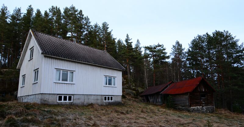 Fil:Skaret Hornnes 301116.JPG