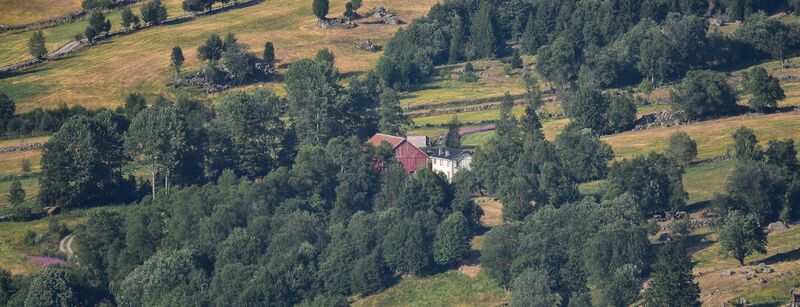 Fil:Skumstein Rike Valle 160718-2.jpg
