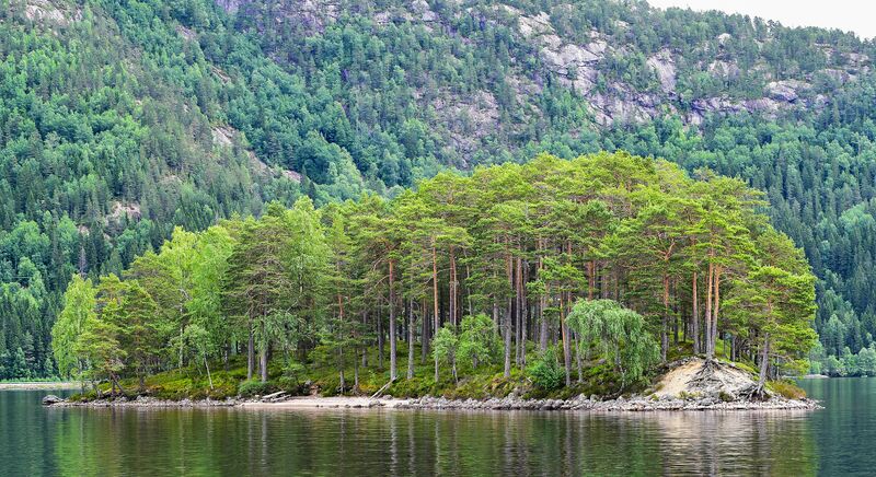 Fil:Kaupmannsøyi 240618.jpg
