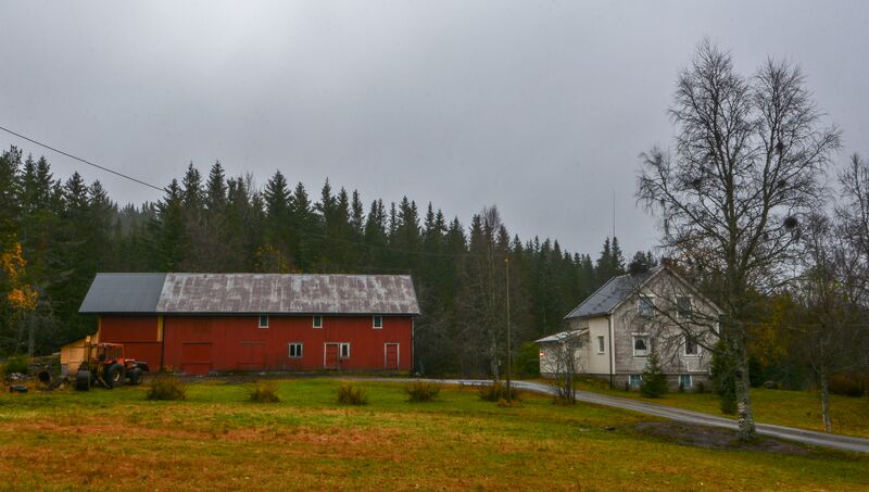 Fil:Røyrtveit Evje 051115-2.jpg