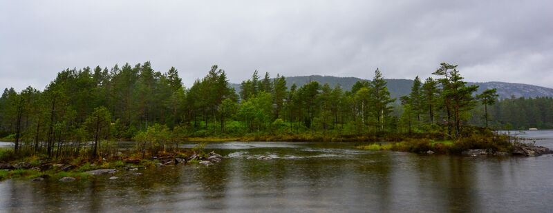 Fil:Døletorv Bygland 080619.jpg