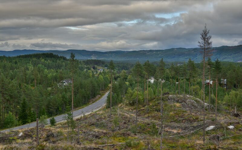 Fil:Kjetså 100922-2.jpg