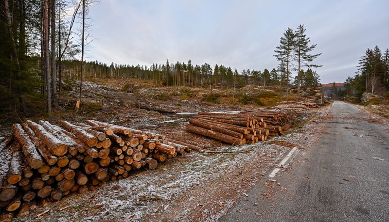 Fil:Bø Bygland 211125.jpg