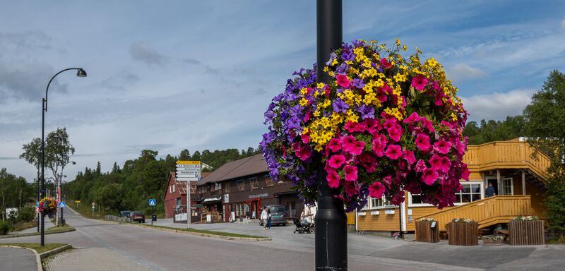 Fil:Hovden 250725-2.jpg