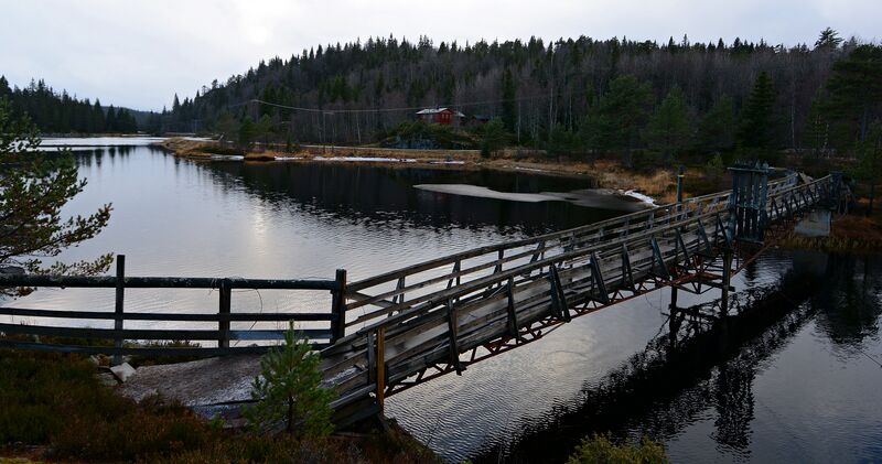 Fil:Rassevæte 021213.JPG