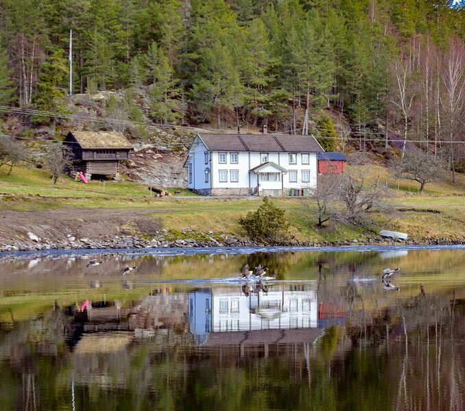 Fil:Frøyrak Bygland 110424 (2).jpg