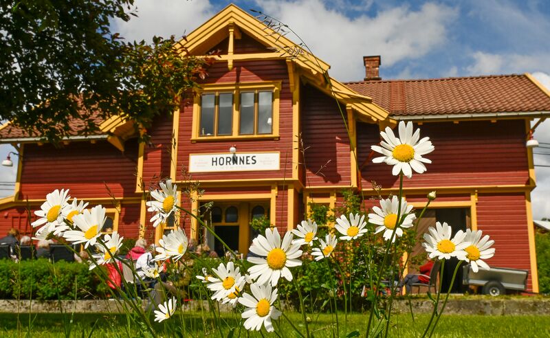 Fil:Hornnes stasjon 090624-2.jpg