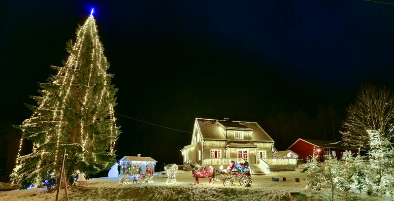 Fil:Julekrysset Kjetså 041217-3.jpg