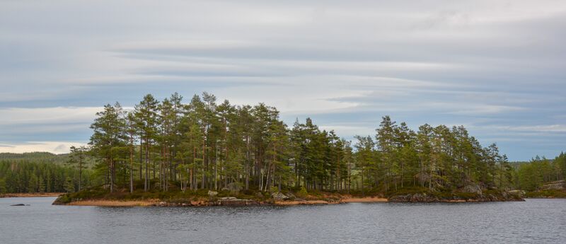 Fil:Kreklingøya Ærekilen 031124-3.jpg