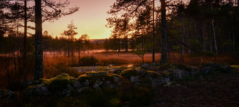Fil:Strauman - Gullringstjønn 281019.jpg