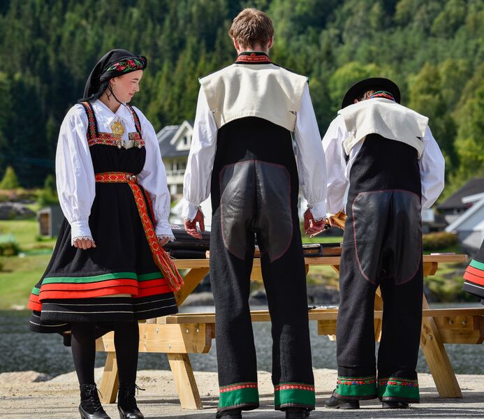 Fil:Dalebukse Kulturpatrulja 230724-2.jpg