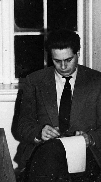 Fil:Aani Rysstad.png