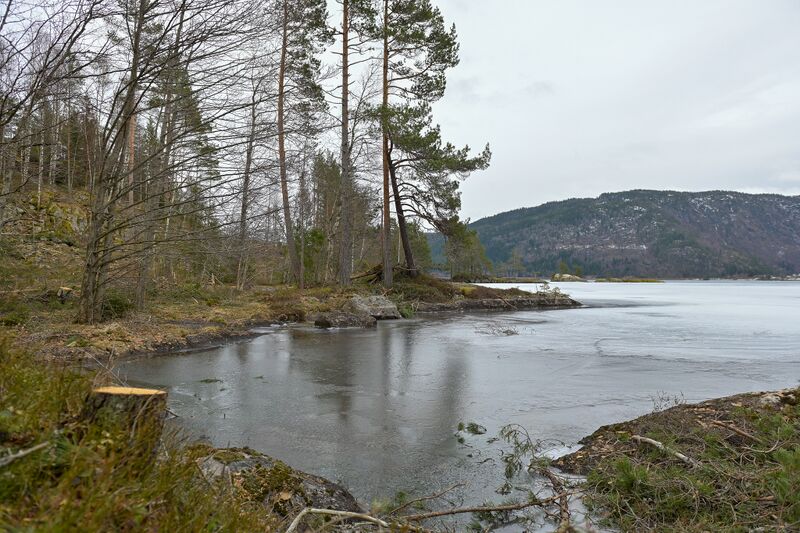 Fil:Eikjåknodden Bø 180424 (3).jpg