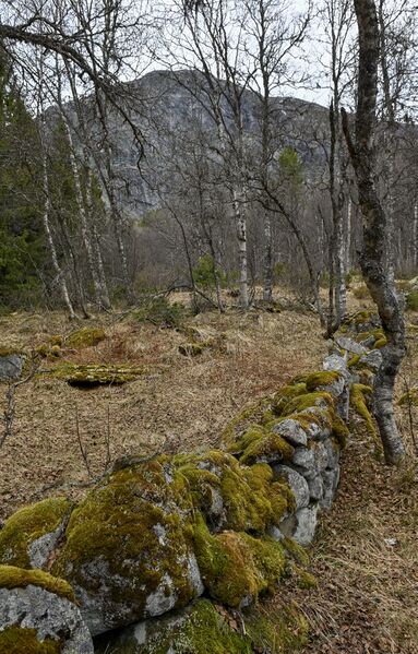 Fil:Vråstøyl Bykle 090526.jpg