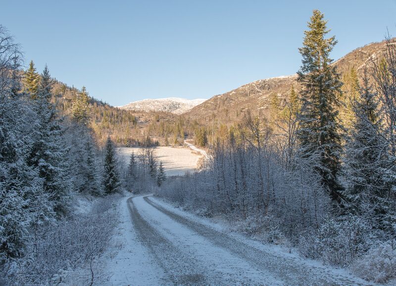 Fil:Hylesdalen heieveg 141125.jpg