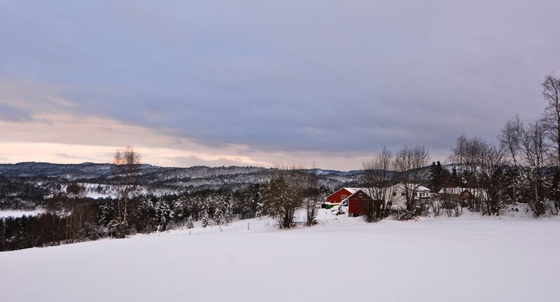 Fil:Løland Vegusdal 091116.jpg