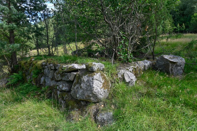 Fil:Bekkjerus Dale 220825 (2).jpg