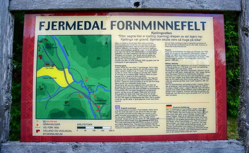 Fil:Fjermedal fornminnefelt 120617-2.jpg