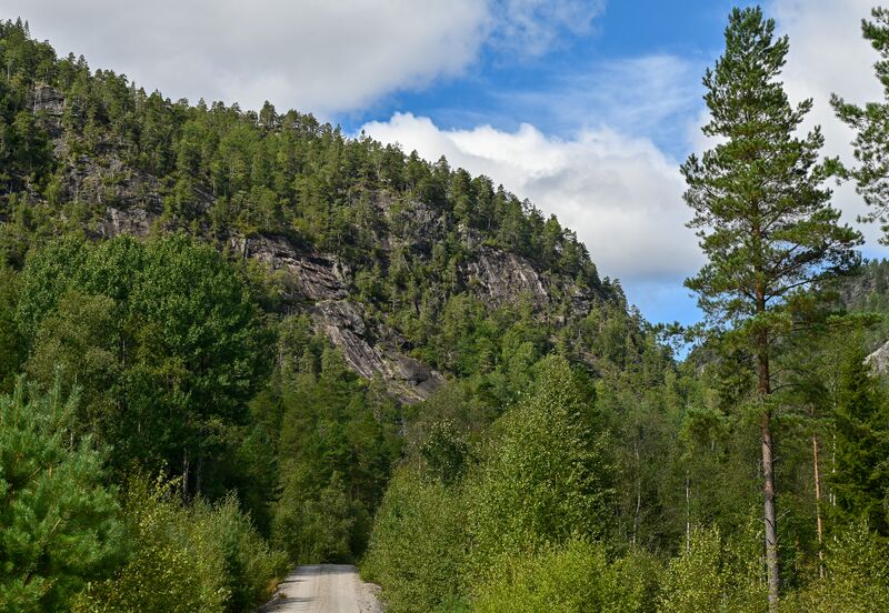 Fil:Håskuldsnuten Dale Bygland 220825.jpg