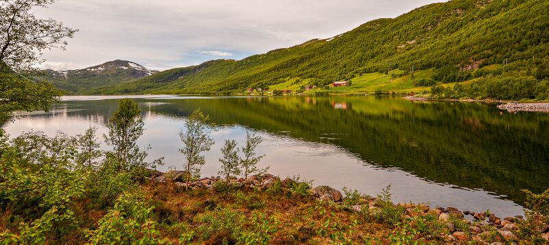 Fil:Breivevatnet 250616-3.jpg