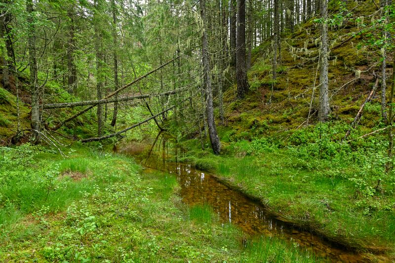 Fil:Faddedalen Tveit 300524.jpg