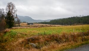 Træletveit sett frå Storestøylvegen 17. oktober 2024. Foto.