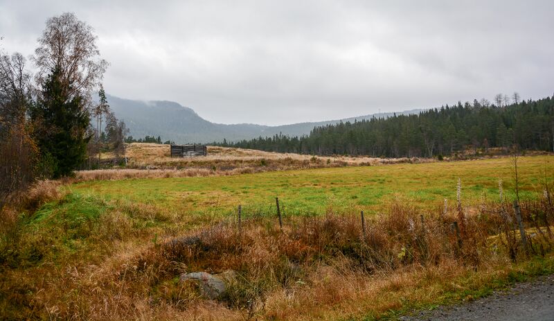 Fil:Træletveit Åraksbø 171024.jpg