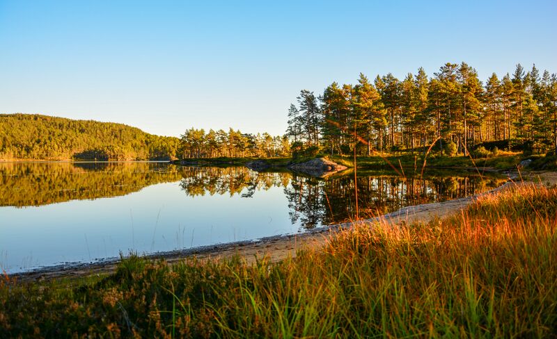 Fil:Bjørndalsvatnet Hornnes 190924.jpg