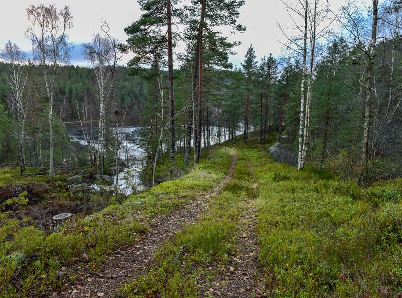 Fil:Kiledalskleiva Hægeland 071122-2.jpg