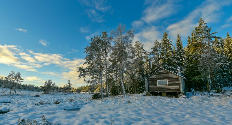 Fil:Myrstålmyra Lauvland 091218.jpg