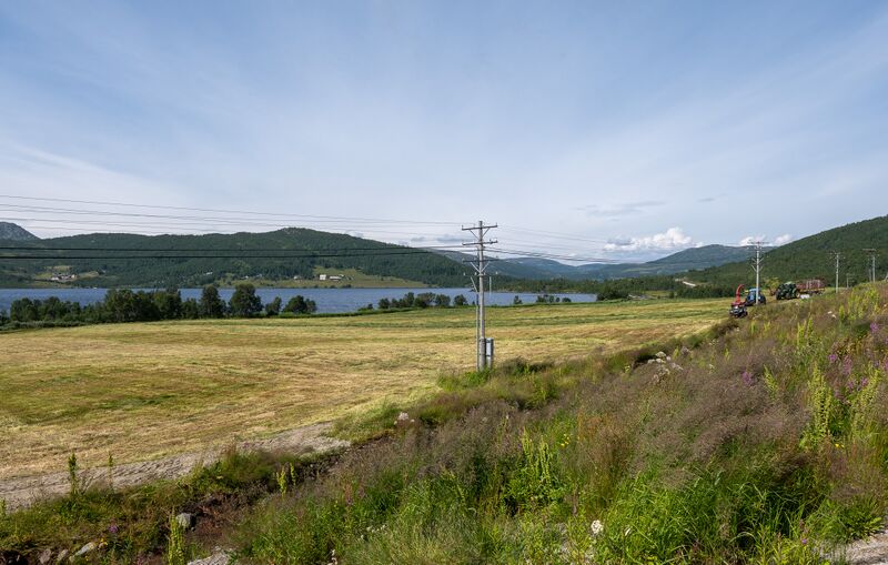 Fil:Flottestøylen Bykle slåtten 250725.jpg