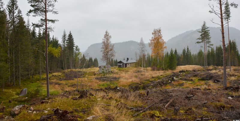 Fil:Brastveit Åraksbø 171024.jpg