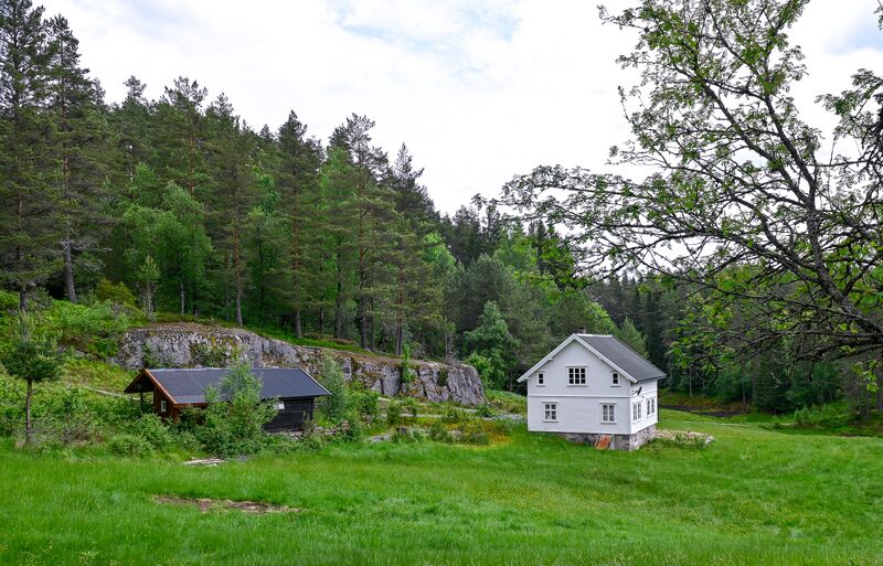 Fil:Hasseldalen Hornnes 310524-2.jpg