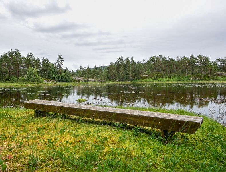 Fil:Kjørketjønn Vegusdal 280617.jpg