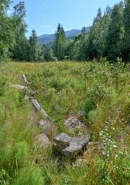 Fil:Krone Bykle kyrkjebygd 250725.jpg