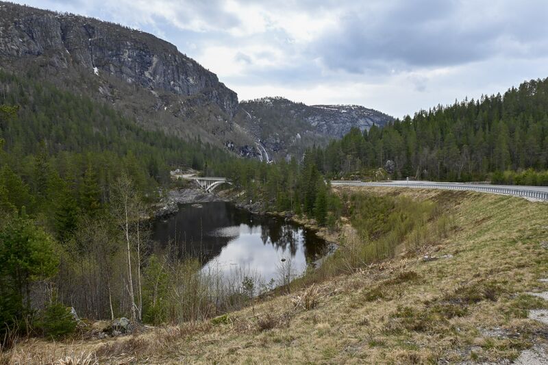 Fil:Øyreviki Bykle 090526.jpg
