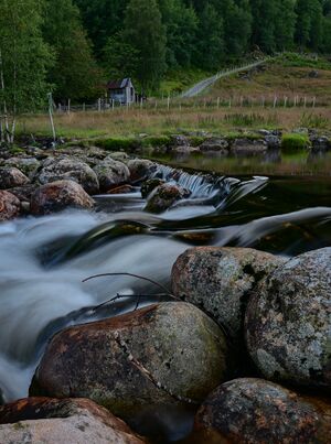 Kveld ved Logna forbi Eikild i Åseral 3. august 2023. Foto: Geir Daasvatn