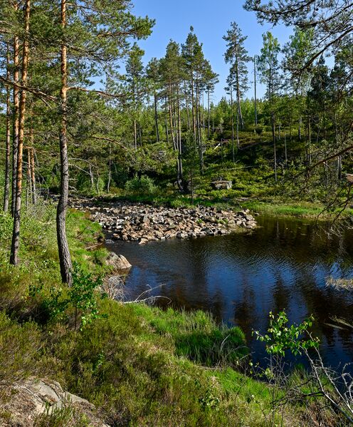 Fil:Kvennåna Mykland 210524-2.jpg