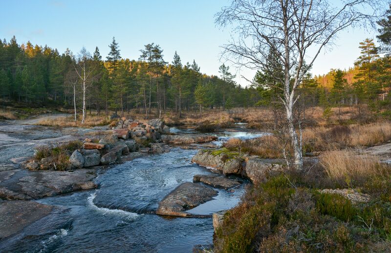 Fil:Abusdalen Hornnes 011124-2.jpg