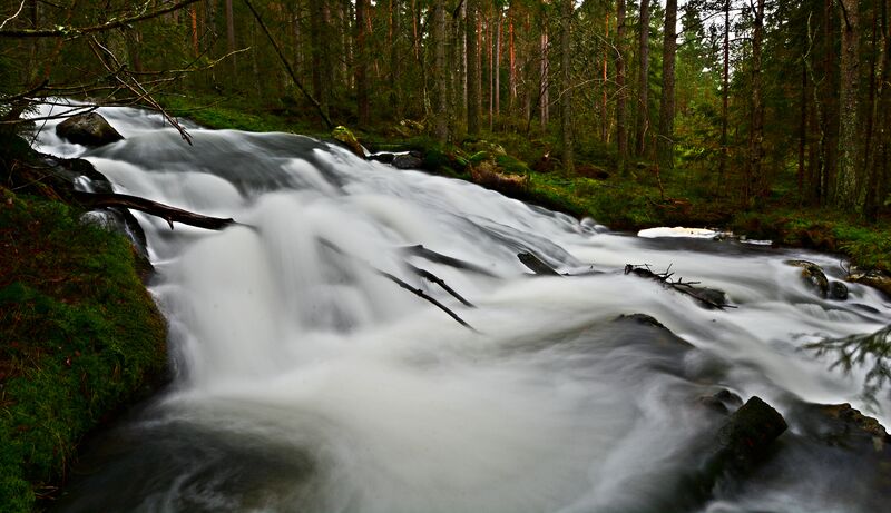 Fil:Longeraksåni - Bygland 291114.jpg