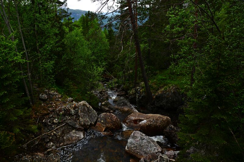 Fil:Straumsjuvet - Kvernåni 030617.JPG