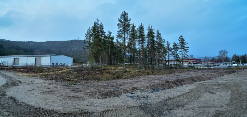Fil:Tingberget Evjemoen 100220.jpg