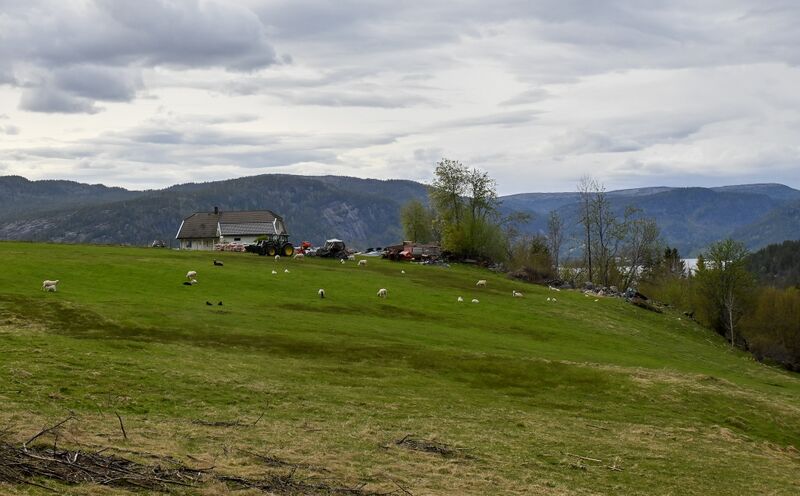 Fil:Åsen Grendi 130526.jpg