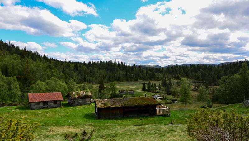 Fil:Forstøyl Bjørgum 100619.jpg