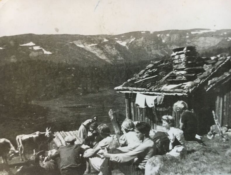 Fil:B8 Håvestøyl bu.jpeg