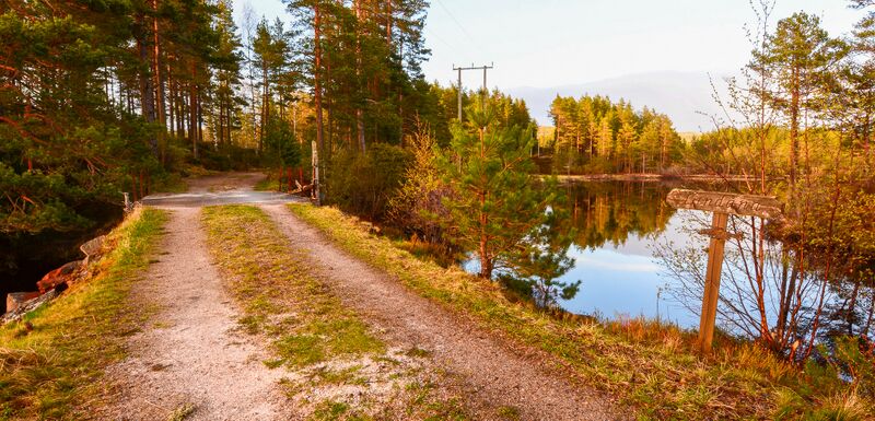 Fil:Gamle-setesdalsvegen-bergvaet-lindåna -evje-og-hornnes-120515.jpg