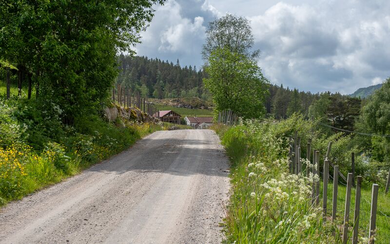 Fil:Gletnesveien Blåka Eiken 010625.jpg