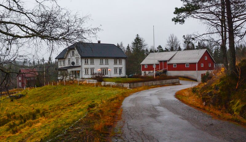 Fil:Børufsduk Vegusdal 081124-3.jpg