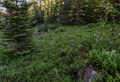 Miniatyrbilete av versjonen frå 22. juni 2026 kl. 07:46