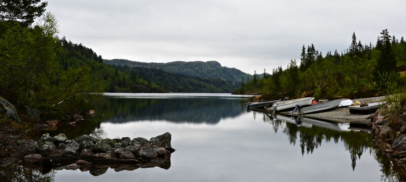 Fil:Mjåvatn Straume 030617.jpg